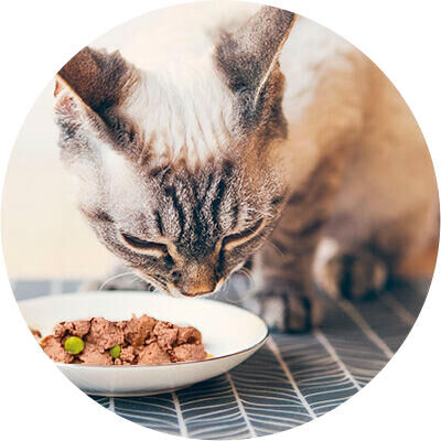 image teaser multiple